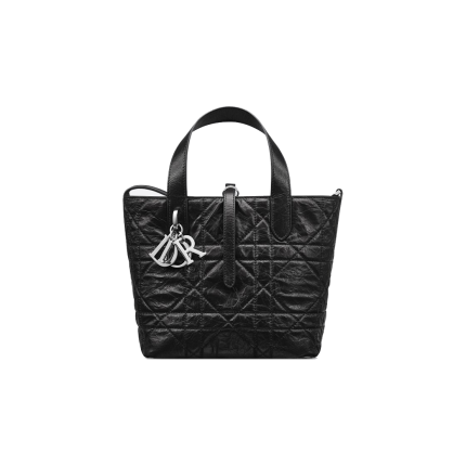 Small Dior Toujours Vertical Tote Bag