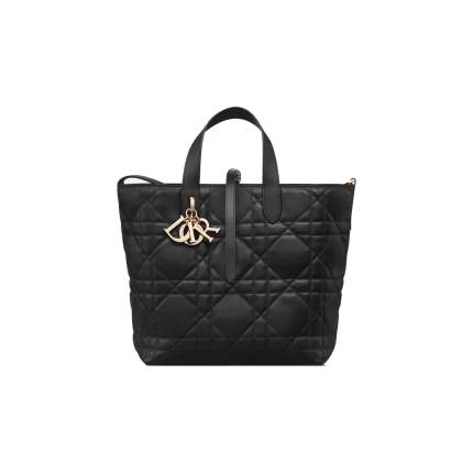 Medium Dior Toujours Vertical Tote Bag